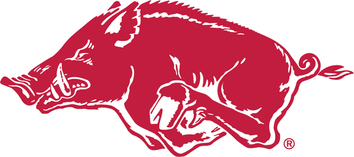 Arkansas Razorbacks 1967-2000 Alternate Logo v2 diy iron on heat ...