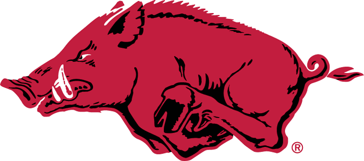 Arkansas Razorbacks 1967-Pres Alternate Logo diy iron on heat transfer ...