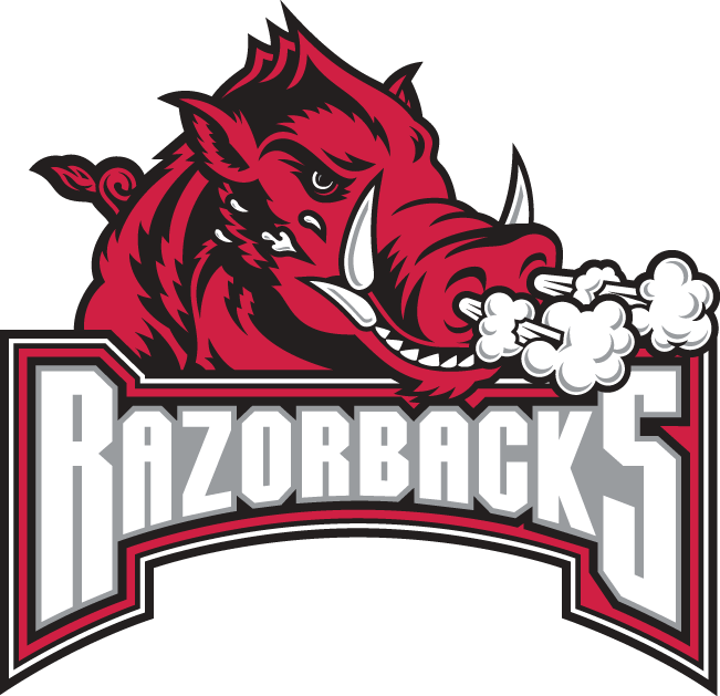 Arkansas Razorbacks 2001-2008 Secondary Logo v2 diy iron on heat ...