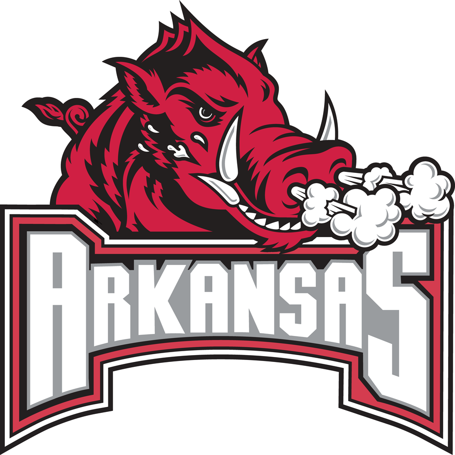 Arkansas Razorbacks 2001-2008 Secondary Logo diy iron on heat transfer ...