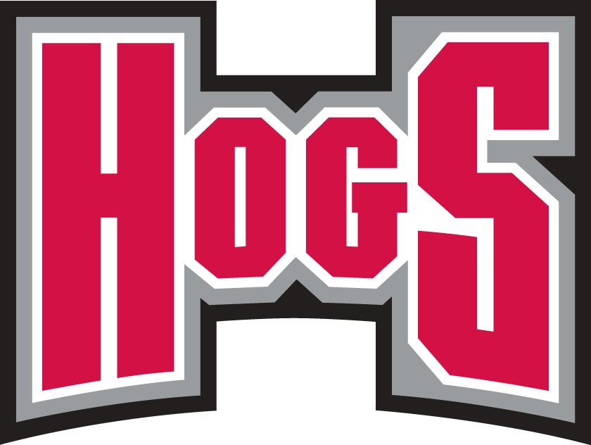Arkansas Razorbacks 2001-2008 Wordmark Logo v3 diy iron on heat ...