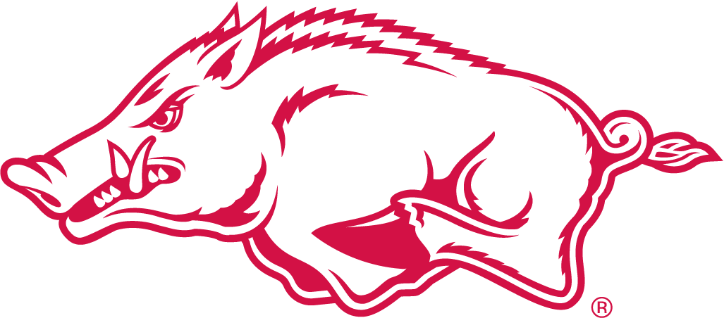 Arkansas Razorbacks 1967-2000 Alternate Logo diy iron on heat transfer ...