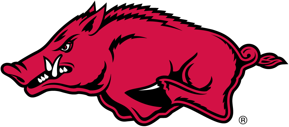 Arkansas Razorbacks 2001-Pres Alternate Logo diy iron on heat transfer ...